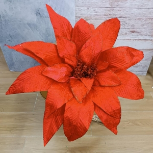 FLOR PONSETIA NAVIDEÑA_1