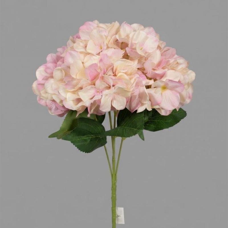 HORTENSIA X 5 FLOR_3