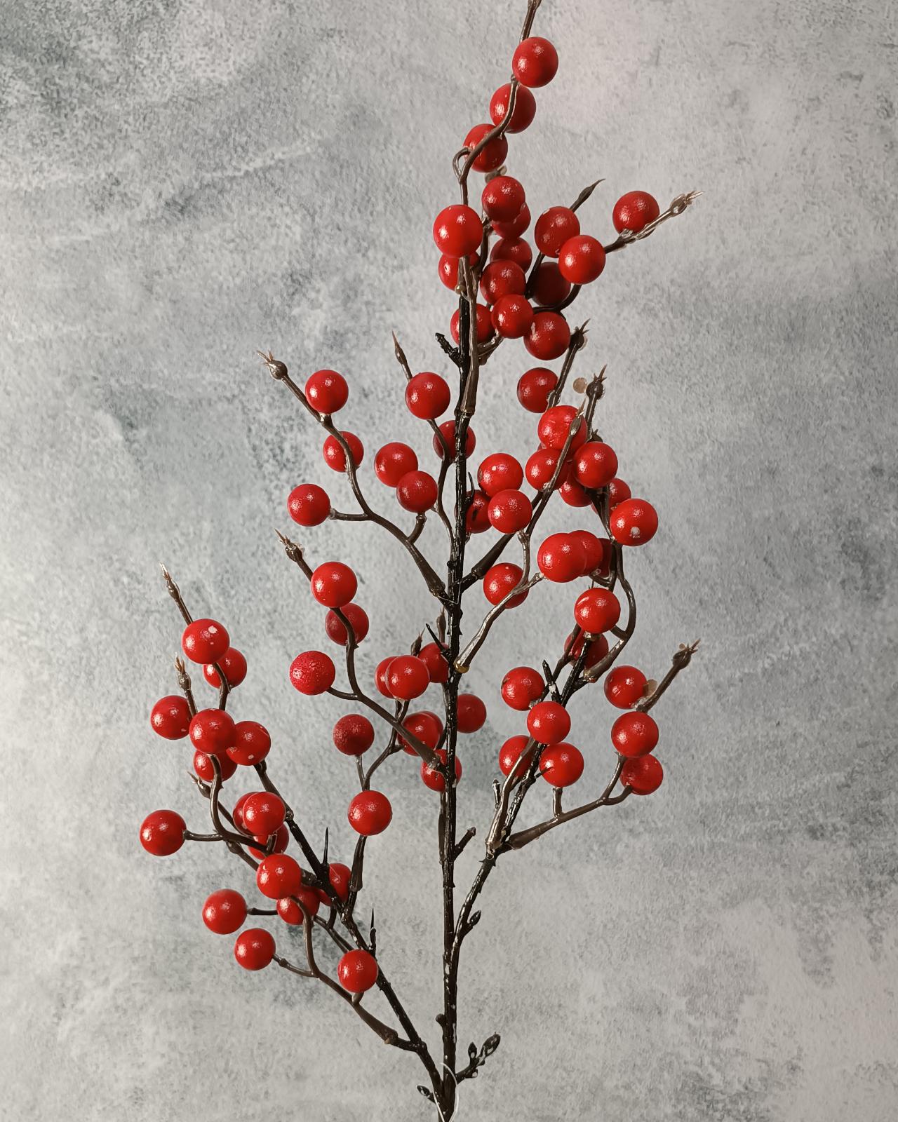 RAMA BERRY RAISA - MarkoRegalos