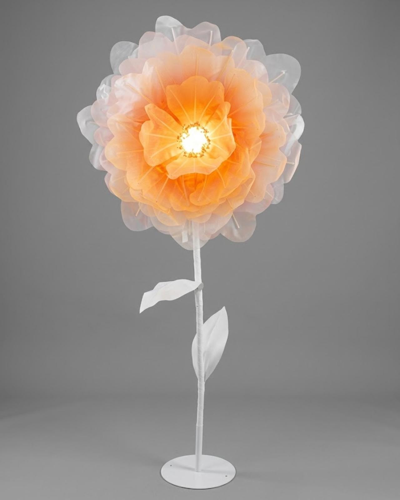 FLOR ROSÉ LUMIÈRE CON LUZ_1
