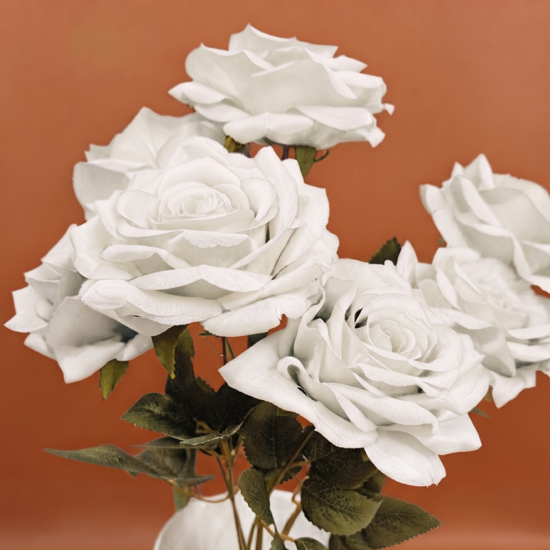 ROSA DEL JARDIN X6_2