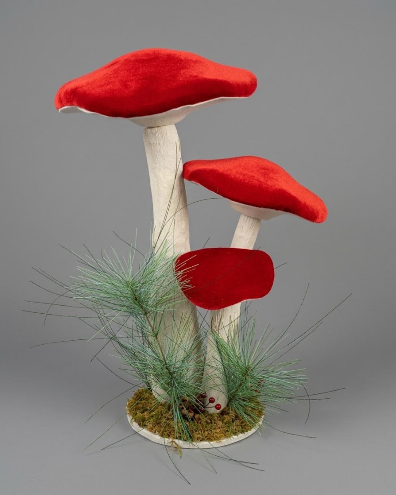 HONGO TRÍO RUBÍ DE BOSQUE_1