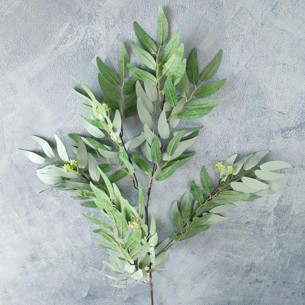 RAMA ACACIA_1