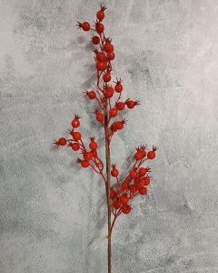 RAMA BERRY ROJO _1