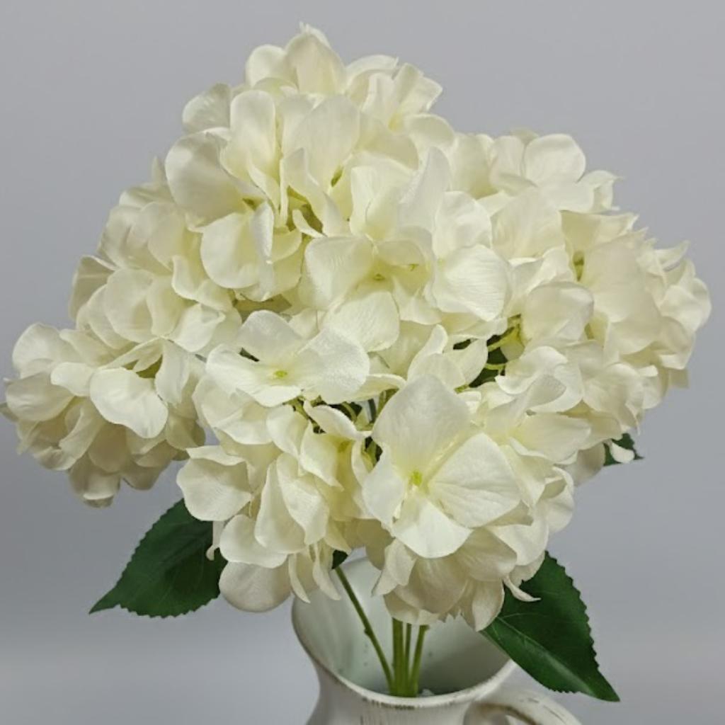 HORTENCIA BLANCA - MarkoRegalos