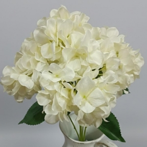 HORTENCIA BLANCA_1
