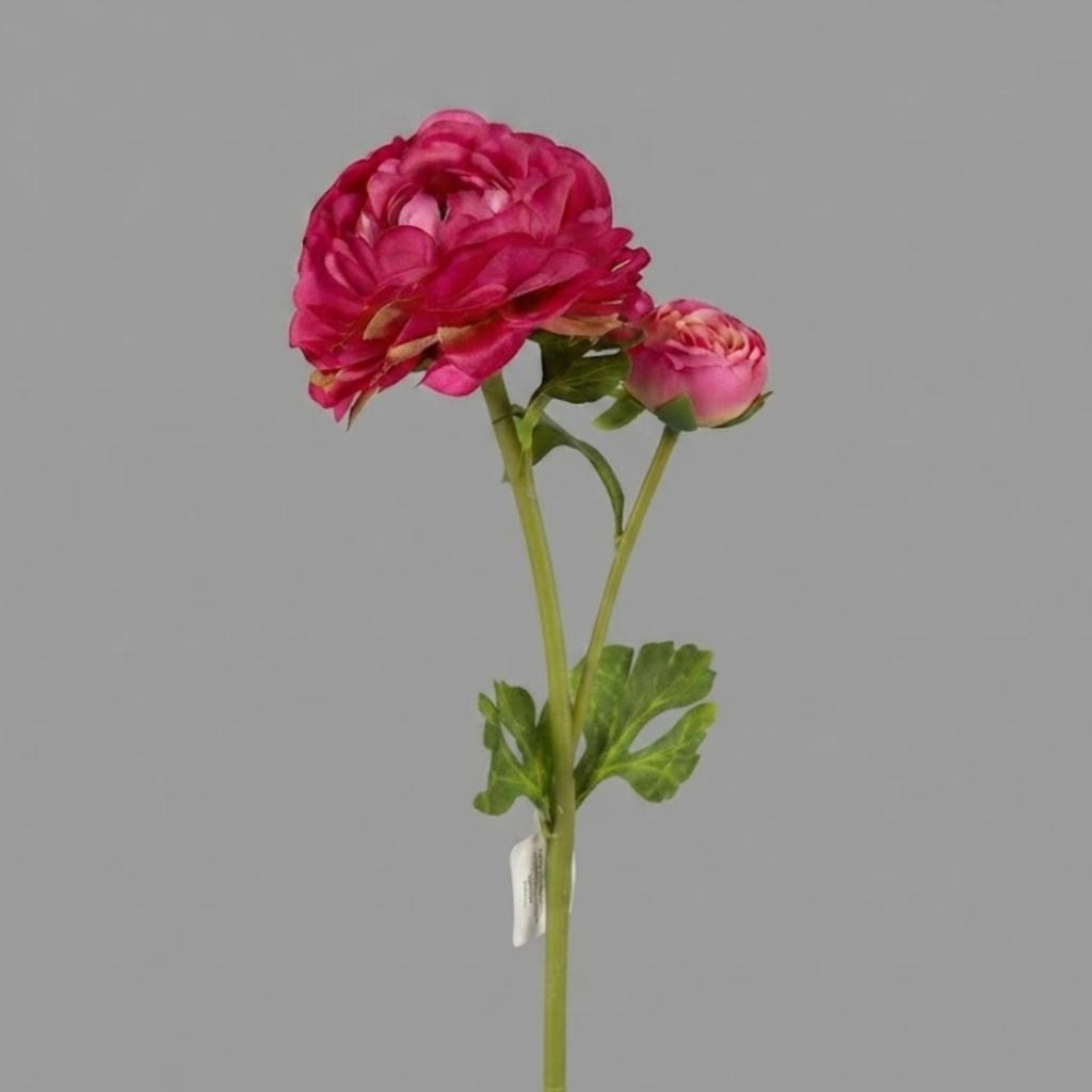 FLOR PEONIA_1