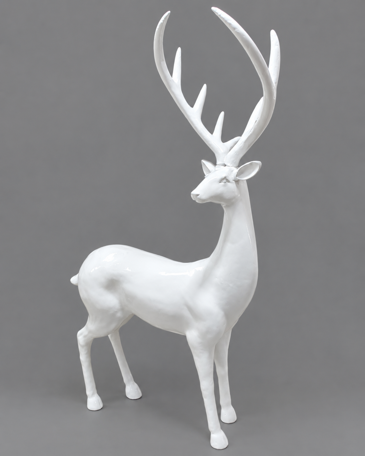 VENADO IMPERIAL 2_1