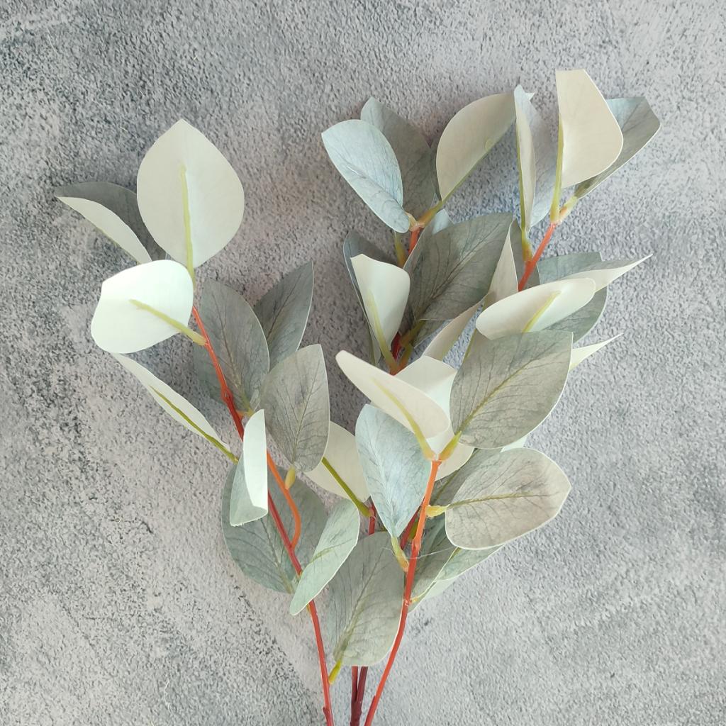 RAMA RUSCO SILVESTRE_1