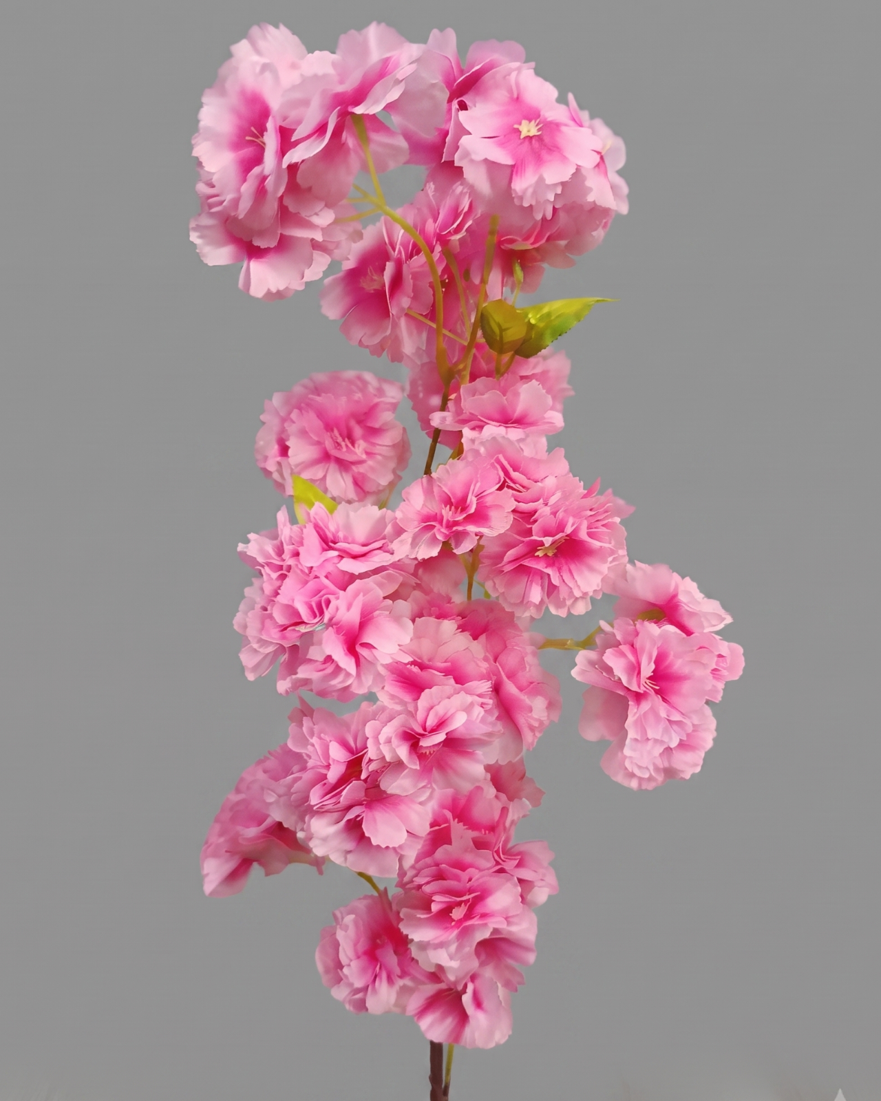RAMA DE CEREZO ROSADA_1