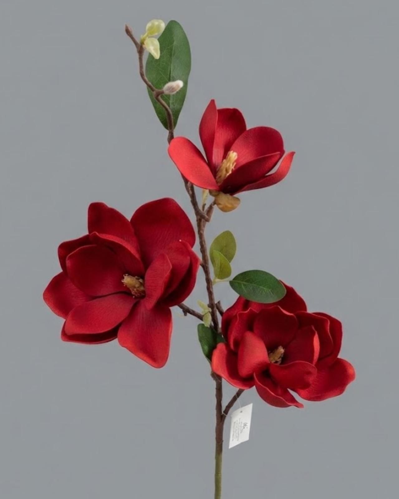 RAMA MAGNOLIAS X3_1