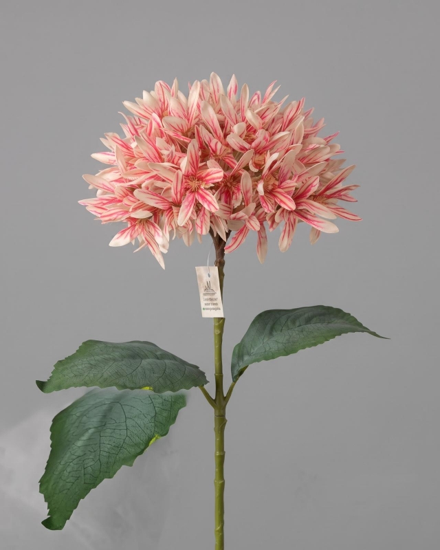 FLOR CRISANTEMOS_3
