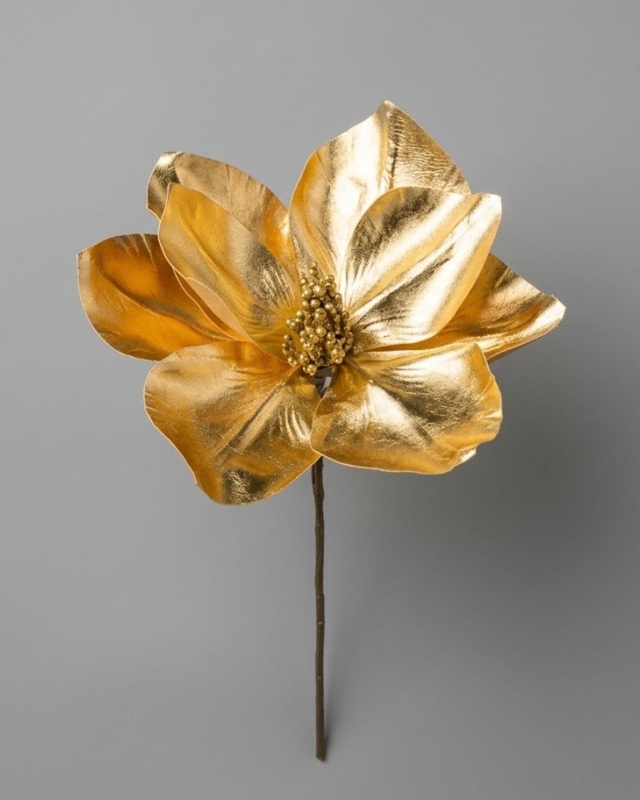 MAGNOLIA DORADA_1