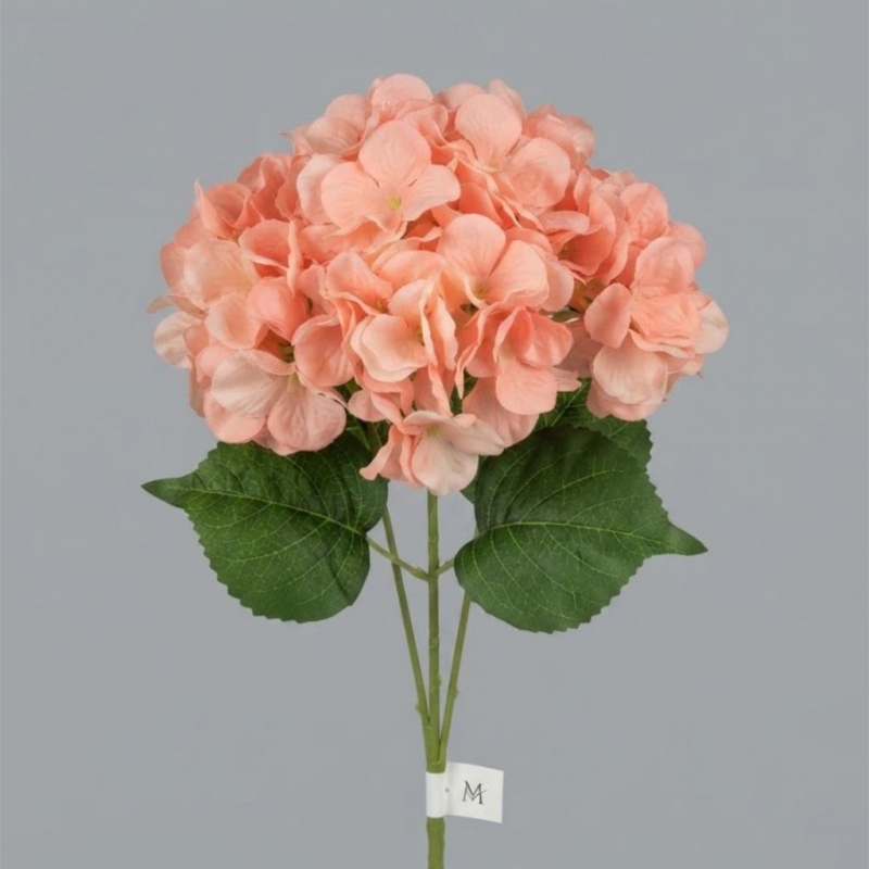 HORTENSIA X 5 FLOR_2