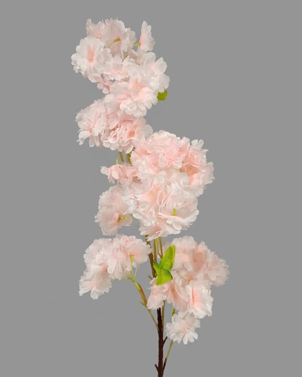 RAMA DE CEREZO_2