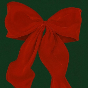 MOÑO NAVIDEÑO TAHIRA_1