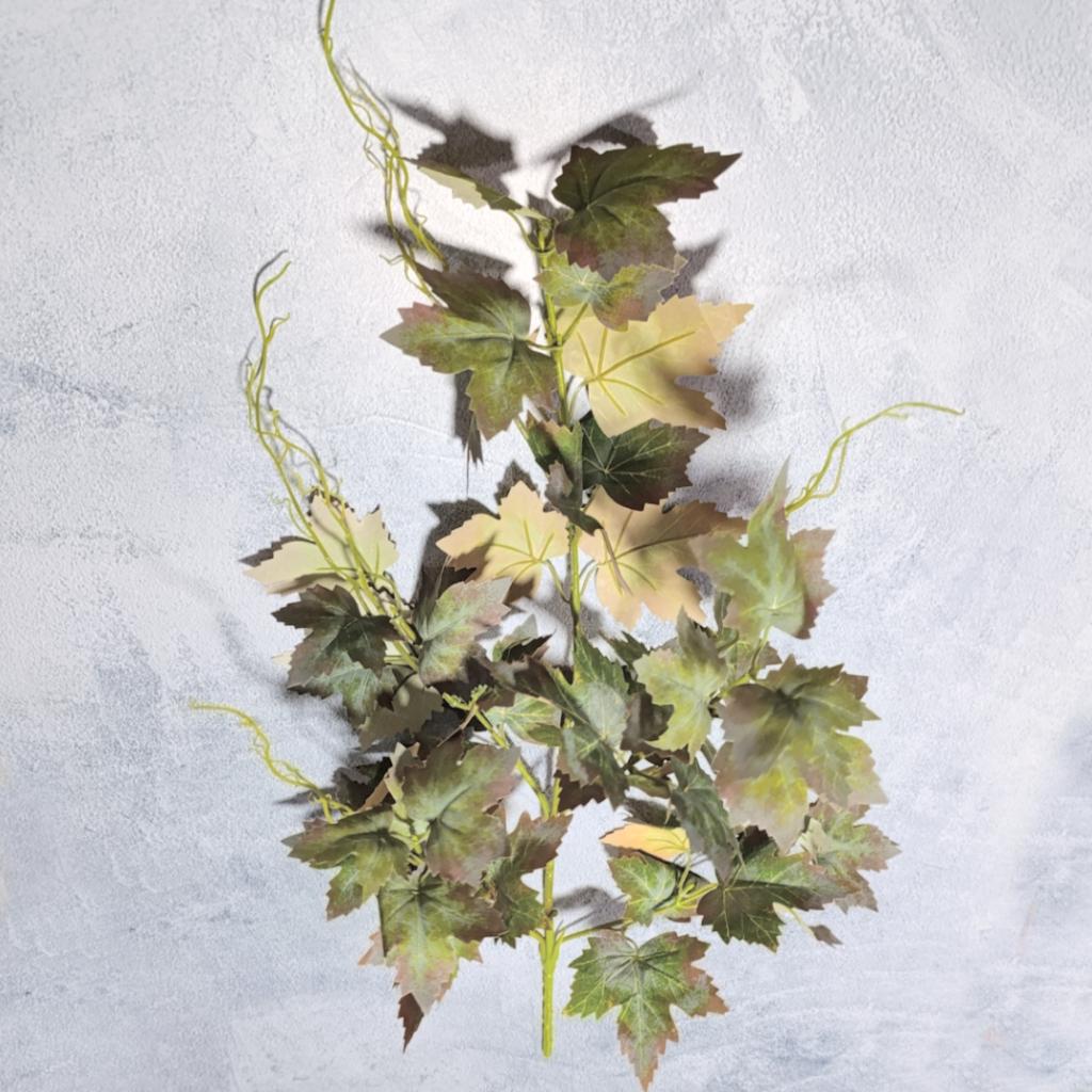 RAMA HIEDRA  - MarkoRegalos