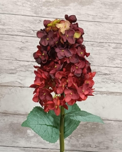 FLOR HORTENSIA PANÍCULA_1