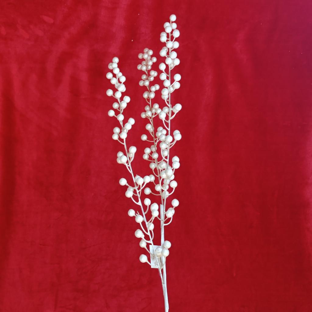 BERRY BLANCO_1