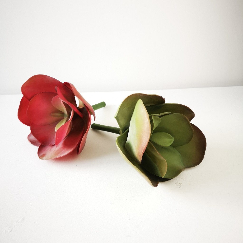 FLOR SUCULENTA ROSETA_1