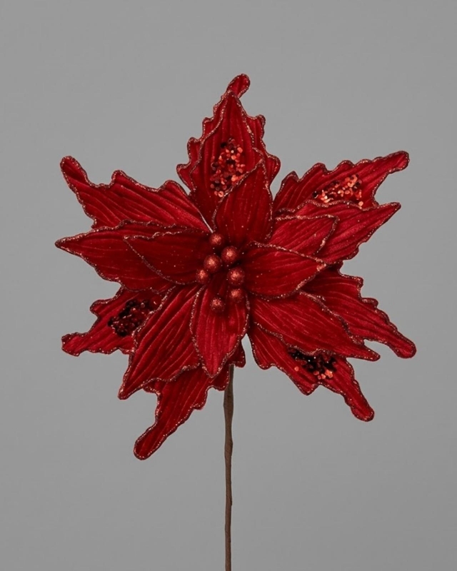PONSETIA ROJA LENTEJUEL_1