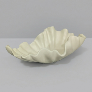 CONCHA DECORATIVA_1