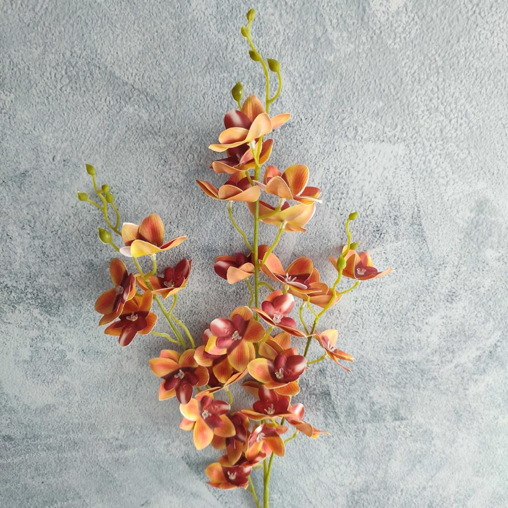 FLOR ORQUIDEA SILVESTRE _3