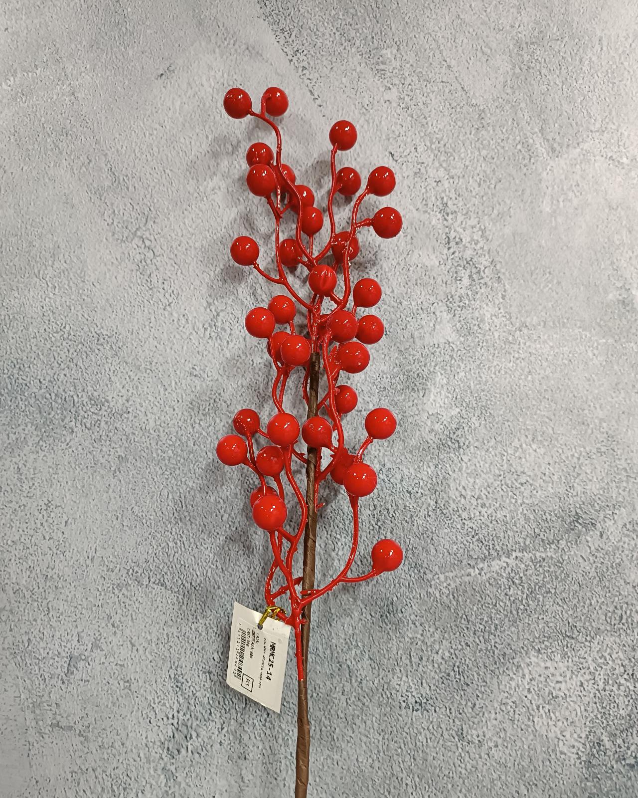 RAMA PIN BERRY_1