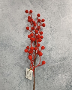 RAMA PIN BERRY_1