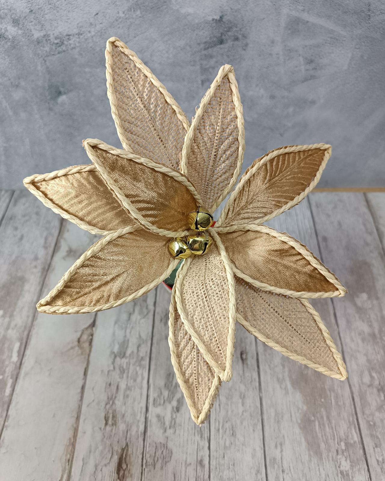 FLOR PONCETIA BOHO - MarkoRegalos