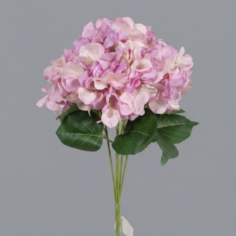 HORTENSIA X 5 FLOR_1