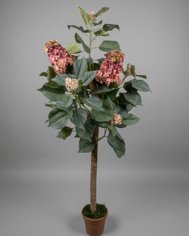 ÁRBOL HORTENSIA 150CM_1