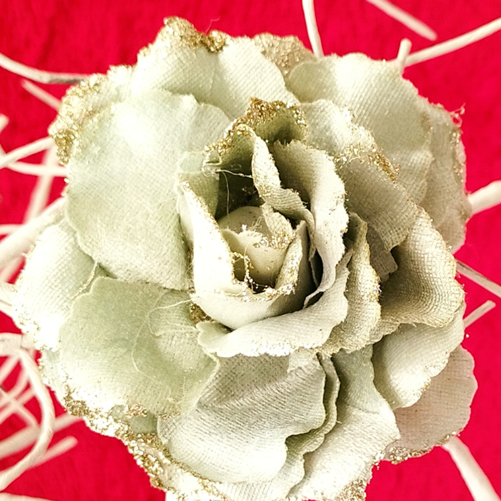 PAQUETE DE 6 ROSA NAVIDEÑA MENTA_1