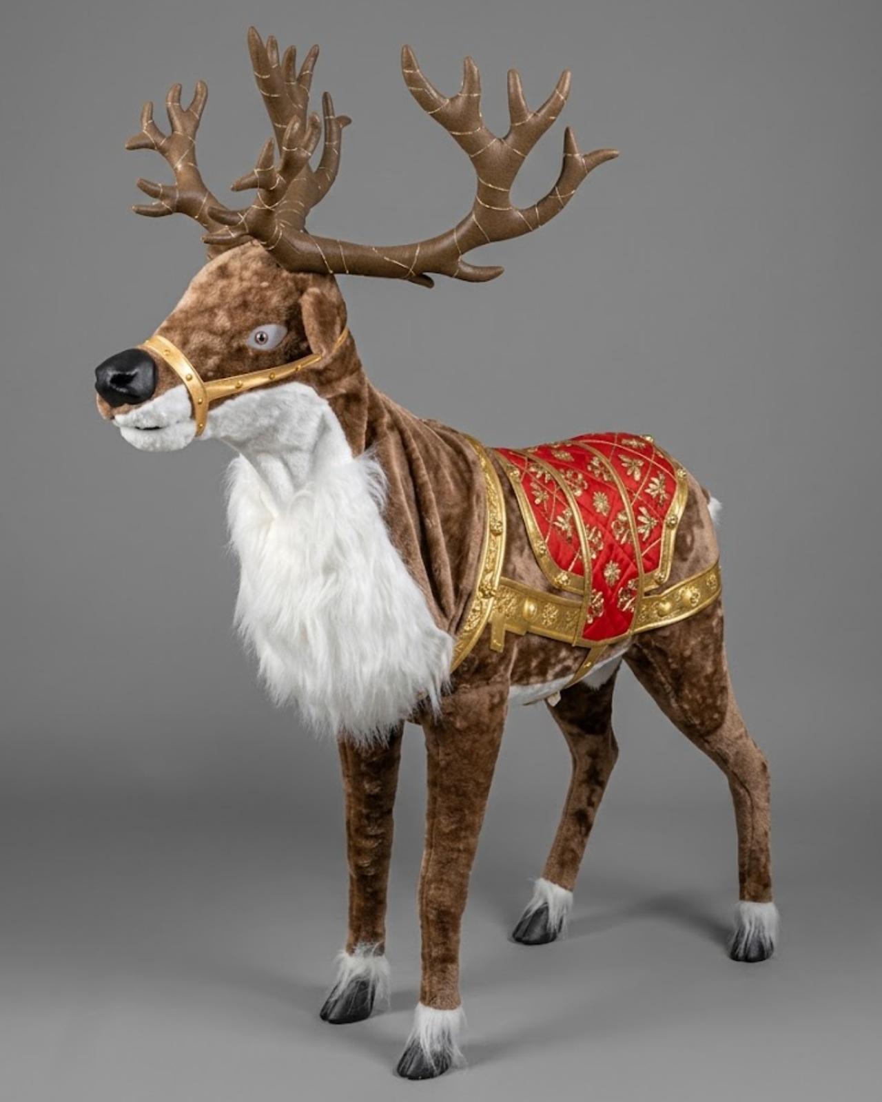 VENADO SUIZO_1