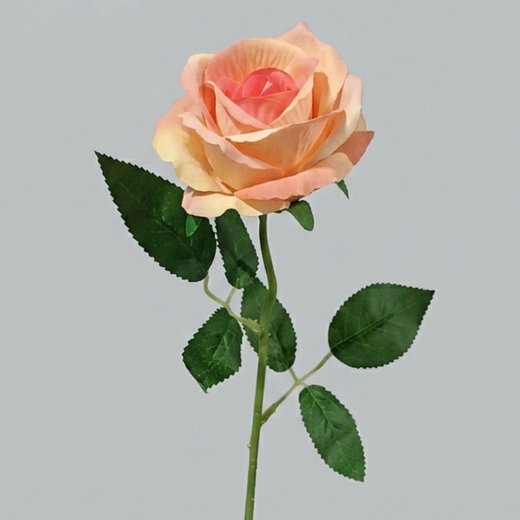 ROSAS DEL JARDÍN_4