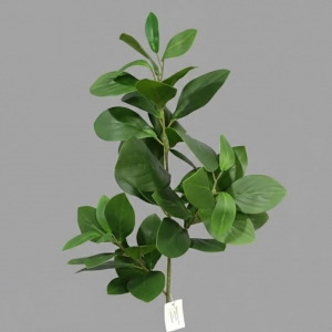 RAMA RUSCO 93  CM_1