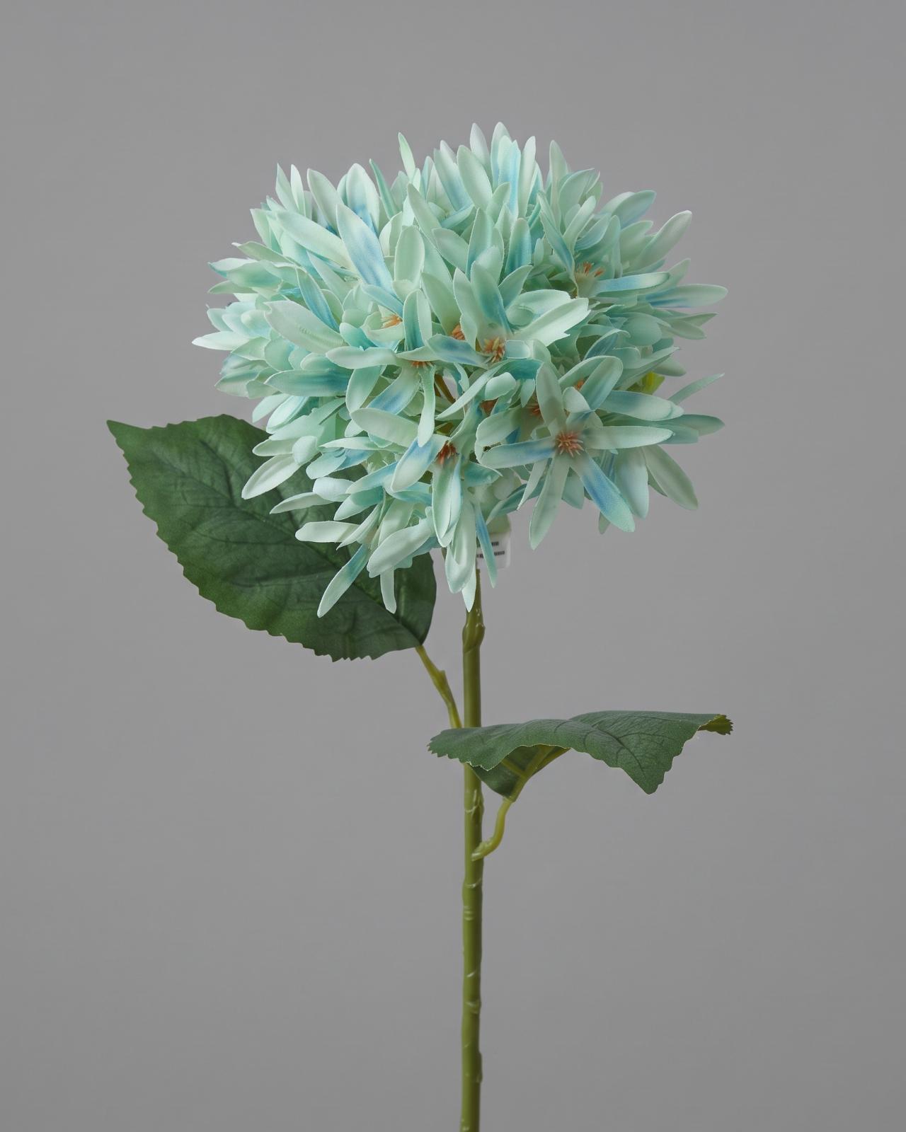 FLOR CRISANTEMOS_2
