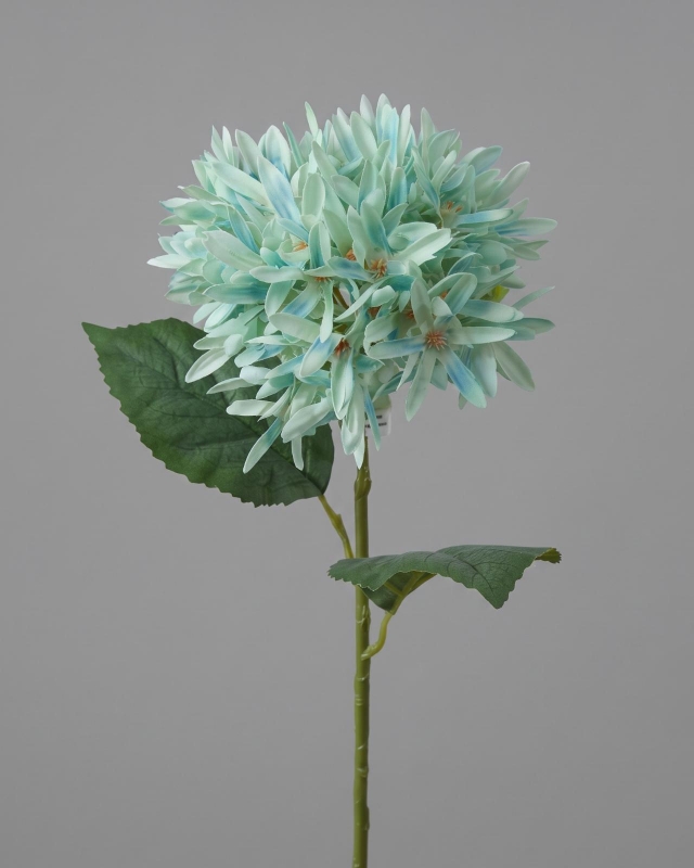 FLOR CRISANTEMOS_2