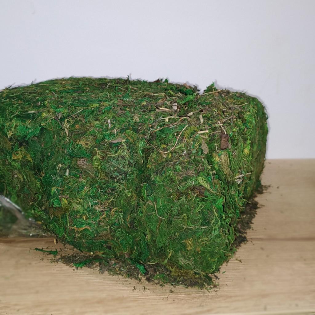 MUSGO ARTIFICIAL - MarkoRegalos