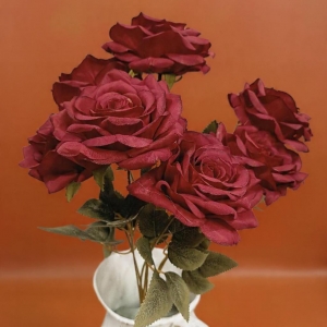 ROSA DEL JARDIN X6_1