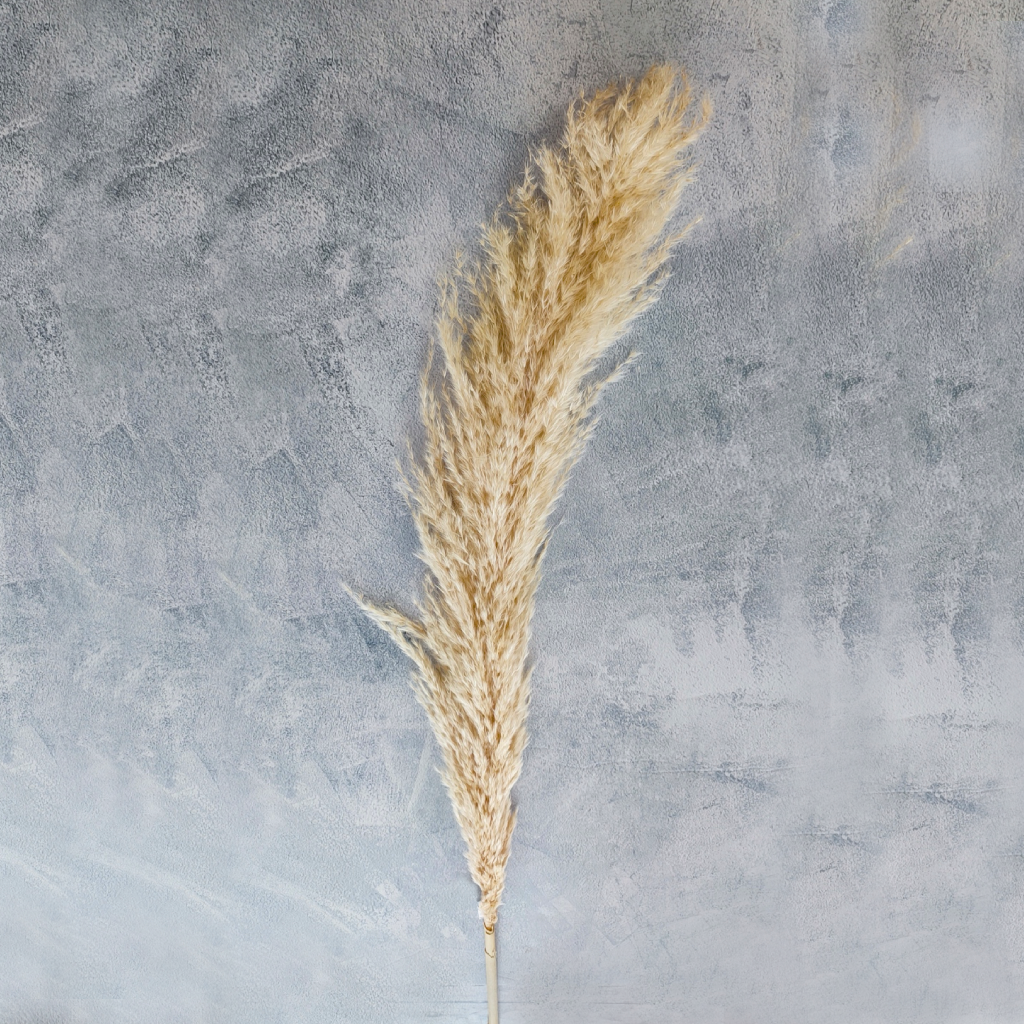 PAMPA DECORATIVA 130cm_1