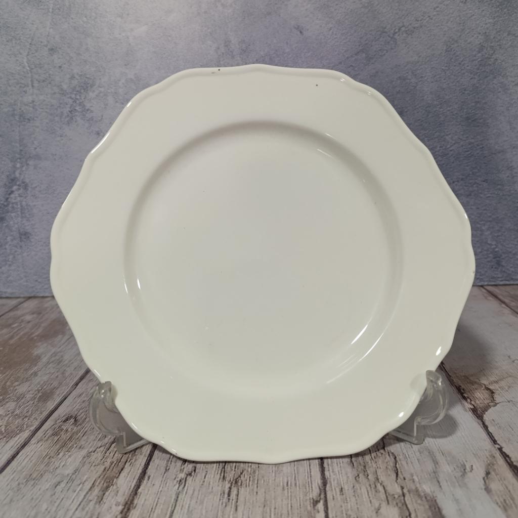 PLATO DE PORCELATA ZOE  22CM_1