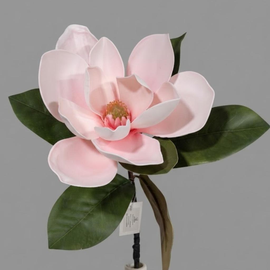 RAMA MAGNOLIA_2
