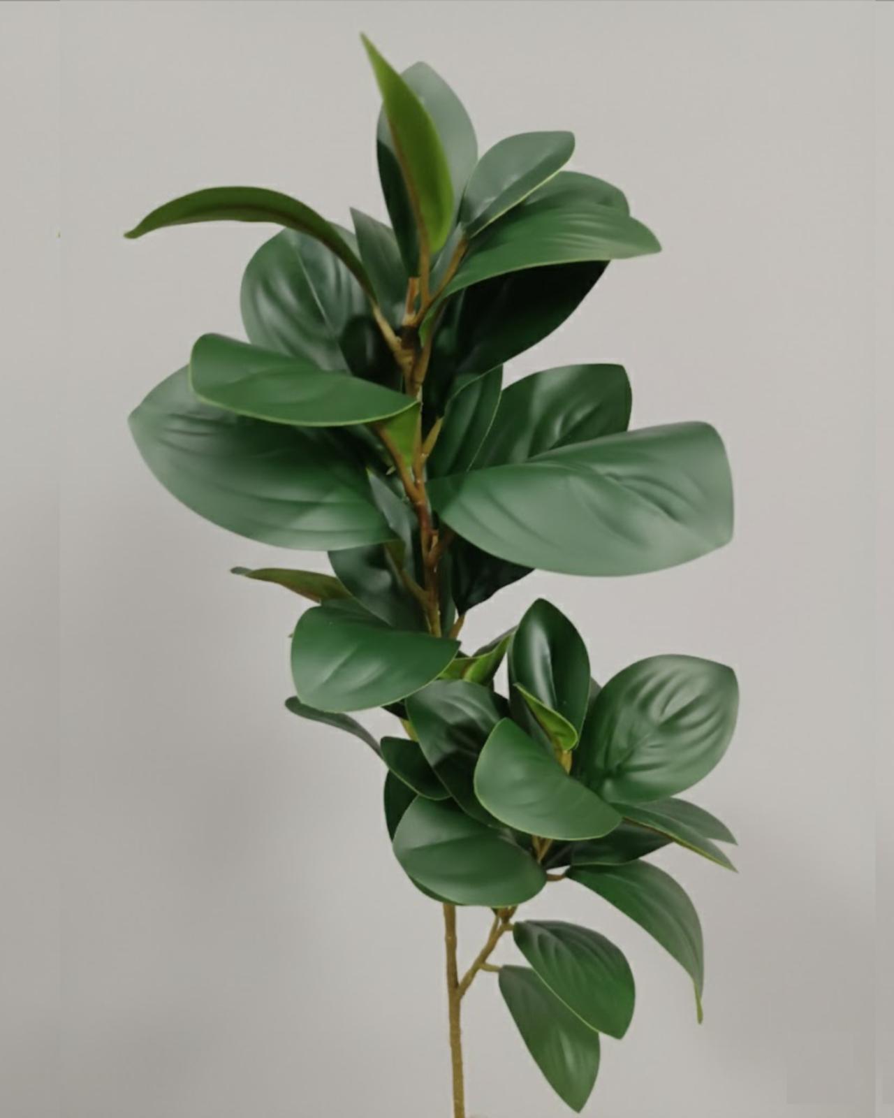 FOLLAJE RUSCO - MarkoRegalos