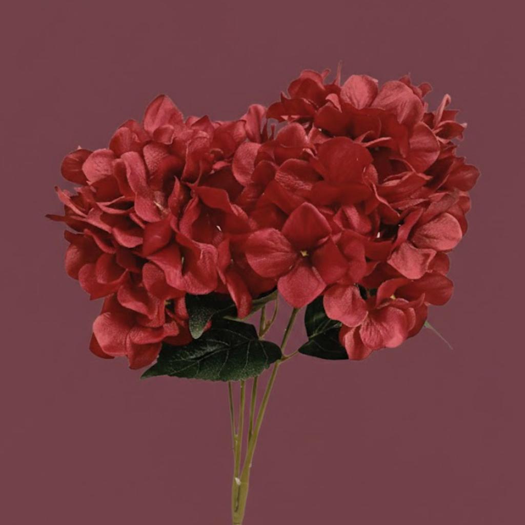 HORTENCIA ROJA - MarkoRegalos