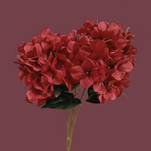 HORTENCIA ROJA_1