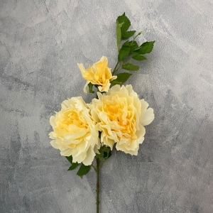 FLOR SARA _6