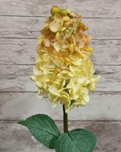 FLOR HORTENSIA PANÍCULA_3