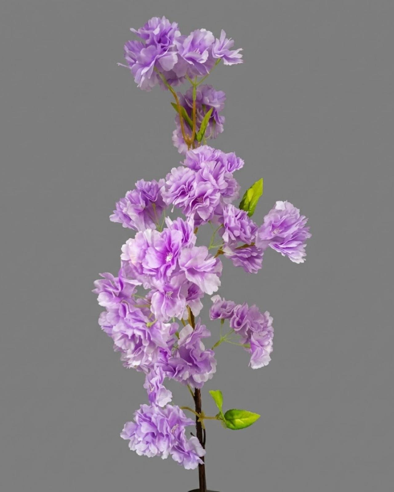 RAMA DE CEREZO_6