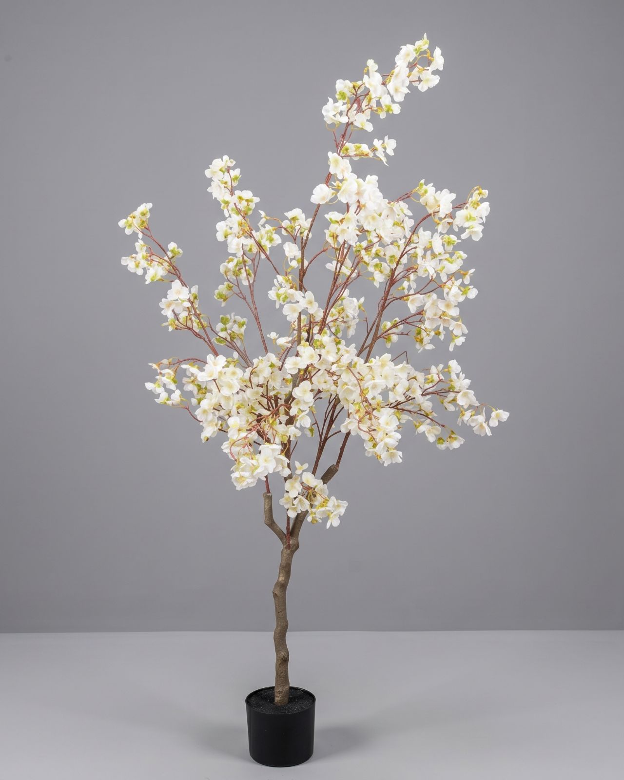 ARBOL DE CEREZO BLANCO 150CM_1
